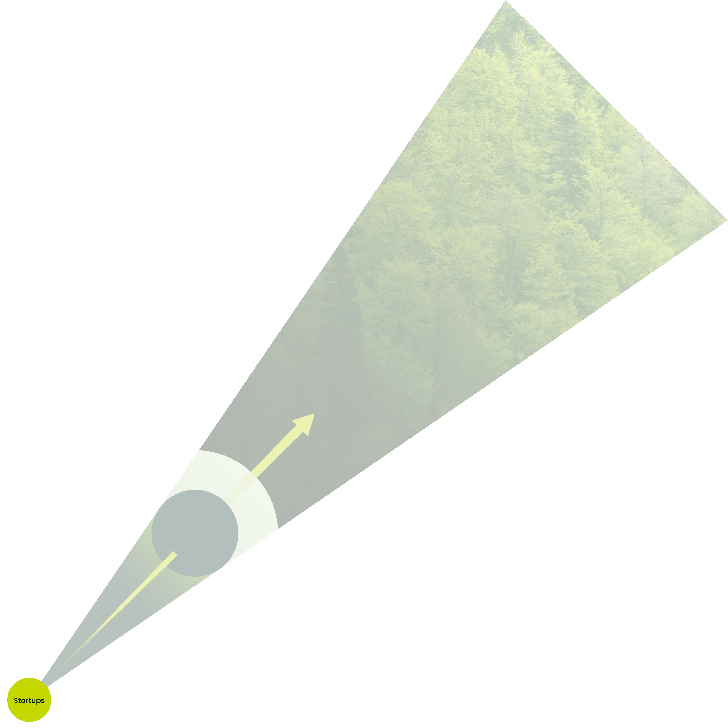 スタートアップ・新規事業の成長サポート