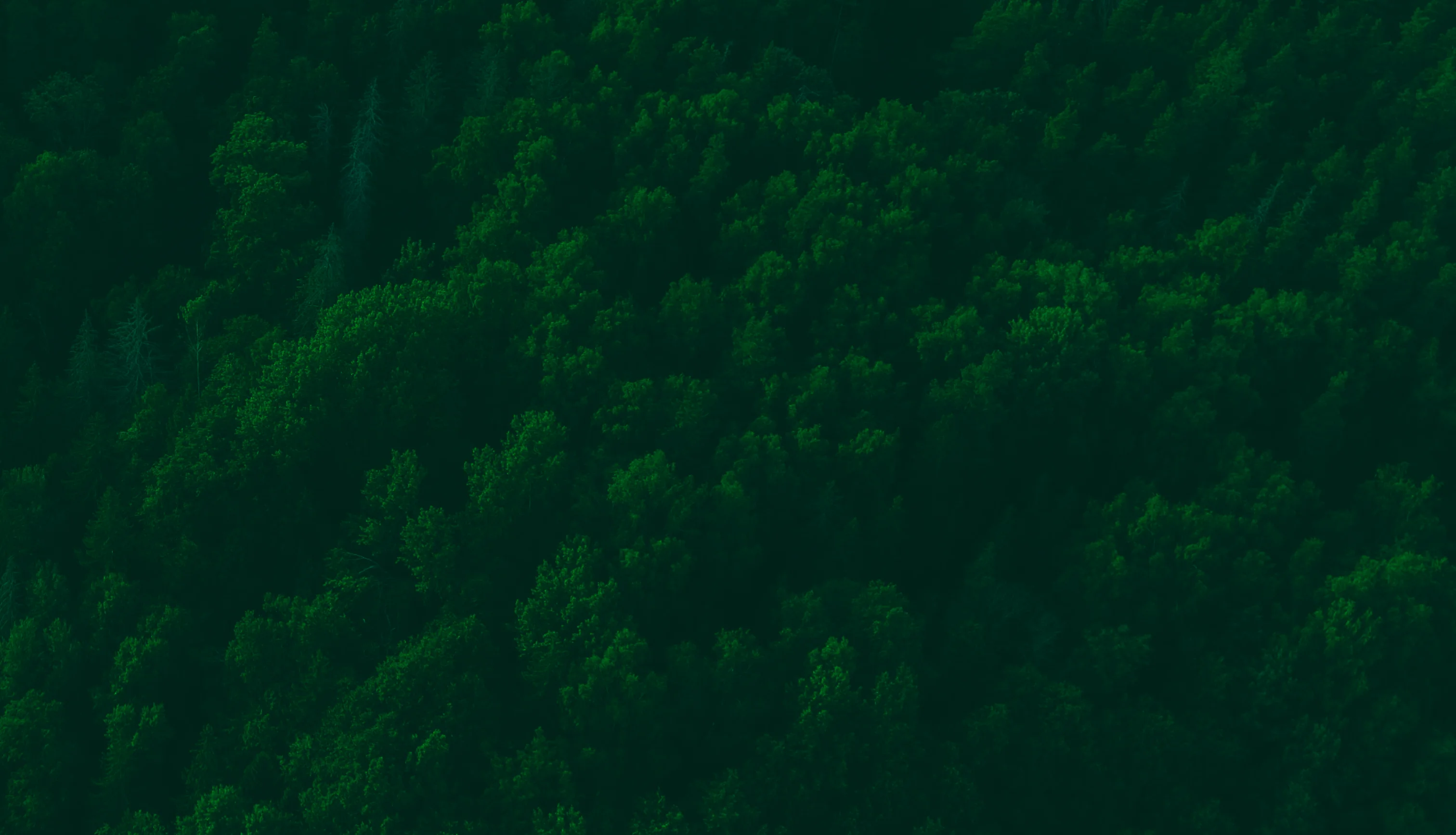 Business Development Team